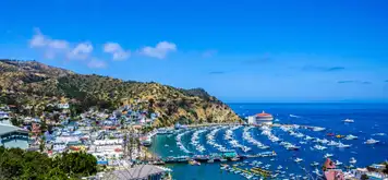 Image related to Catalina Island