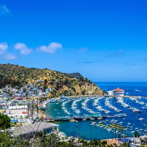 Image related to Catalina Island