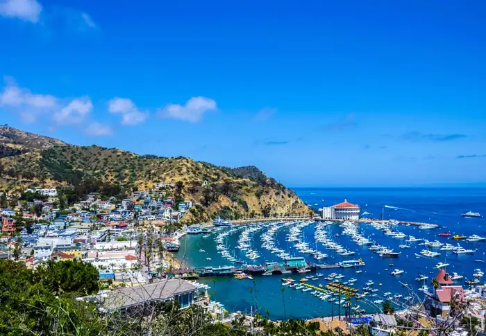 Photo of Day 4: Catalina Island