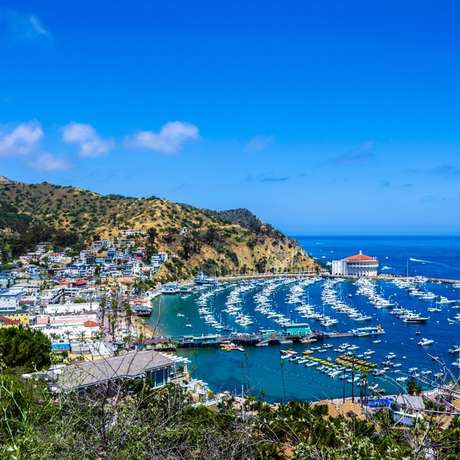 Catalina Island