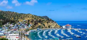 Image related to Catalina Island