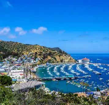 Image related to Catalina Island