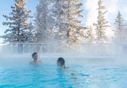 IgluCruise.Application.ViewModels.Shared.WebImageViewModel?.Description