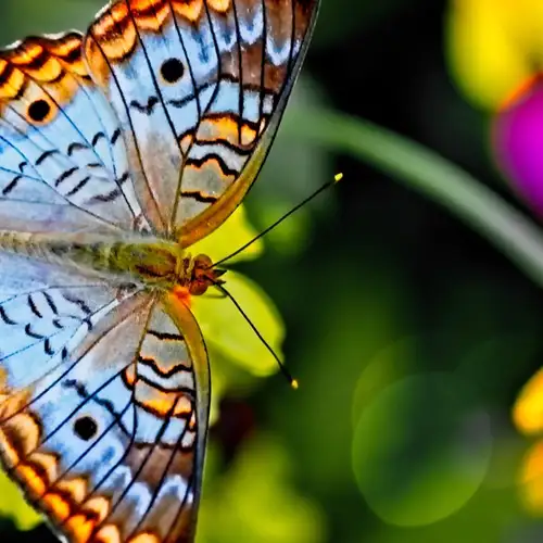 Image related to Botanical Gardens