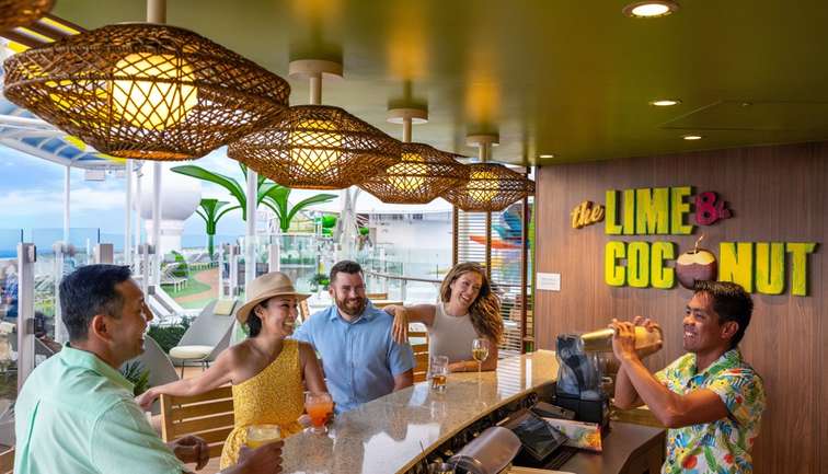 the lime and coconut