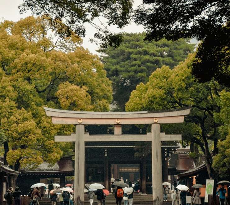 Garden Tour - Meiji Jingu & Gyoen Garden