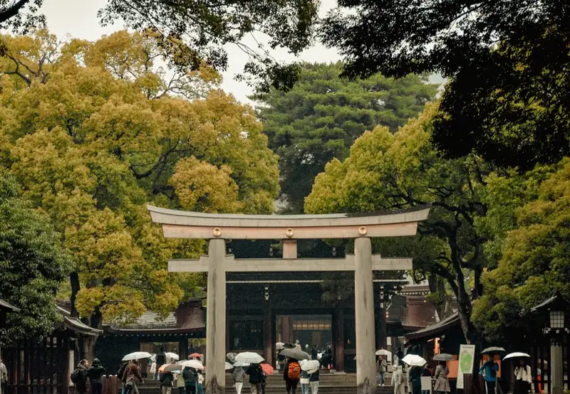 Garden Tour - Meiji Jingu & Gyoen Garden