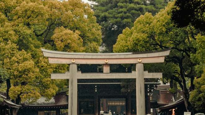 Meiji Jingu & Gyoen Garden Tour