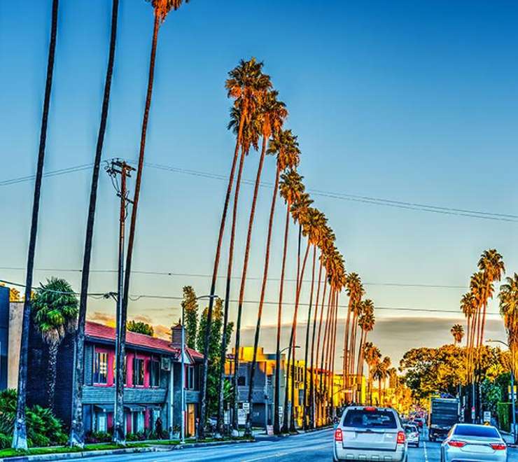Sunset Boulevard