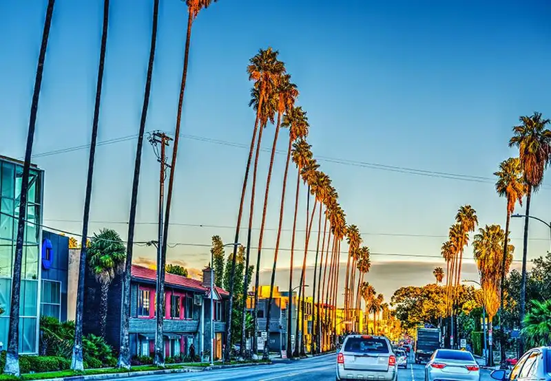 Sunset Boulevard
