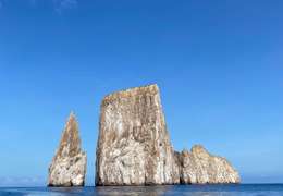 IgluCruise.Application.ViewModels.Shared.WebImageViewModel?.Description