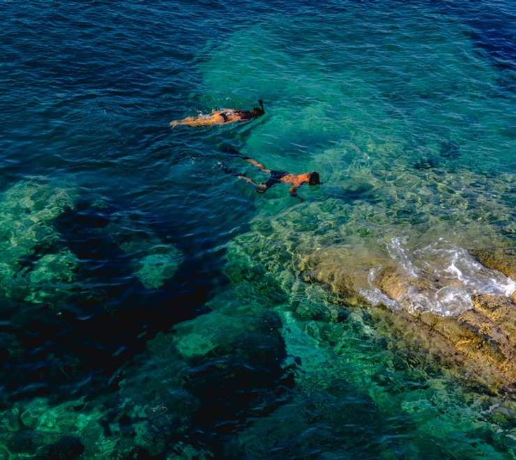 Snorkel in the Clear Water