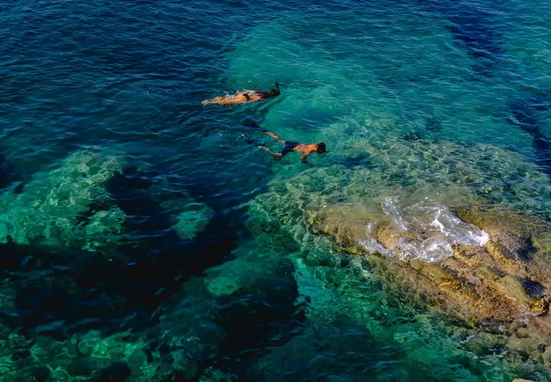 Snorkel in the Clear Water