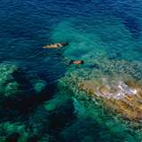 Image related to Snorkel in the Clear Water