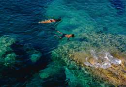 IgluCruise.Application.ViewModels.Shared.WebImageViewModel?.Description