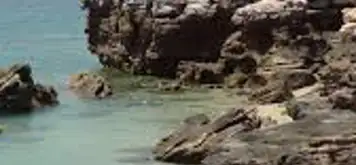 Image related to Freshwater Cove