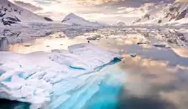 Image related to Paradise Bay