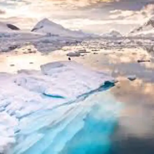 Image related to Paradise Bay