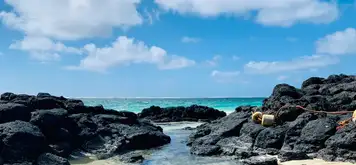 Image related to Santa Cruz Island