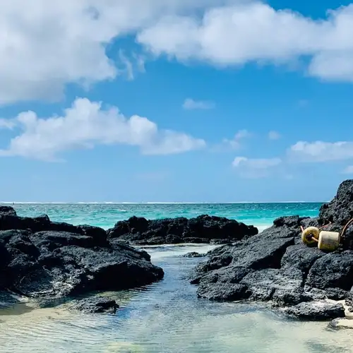 Image related to Santa Cruz Island