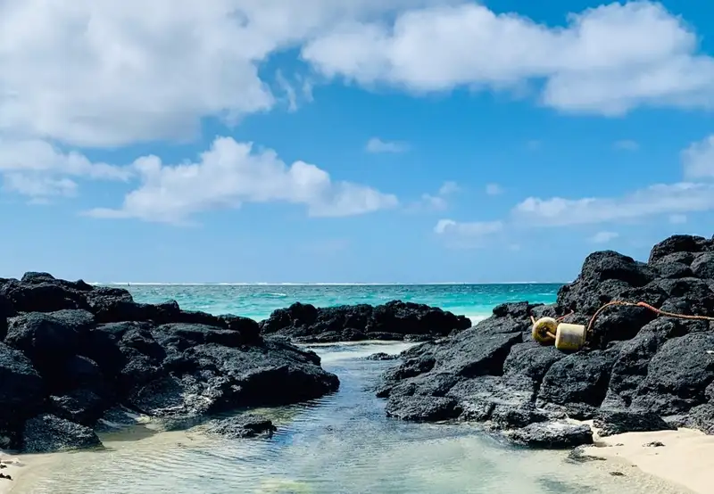Santa Cruz Island