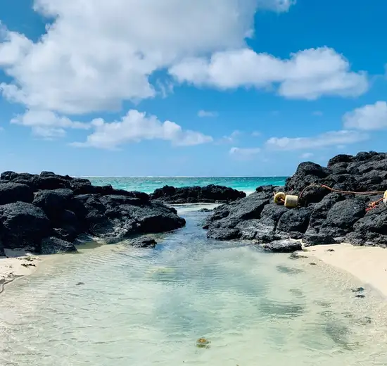 Image related to Santa Cruz Island