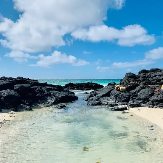 Image related to Santa Cruz Island