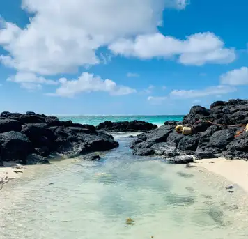 Image related to Santa Cruz Island