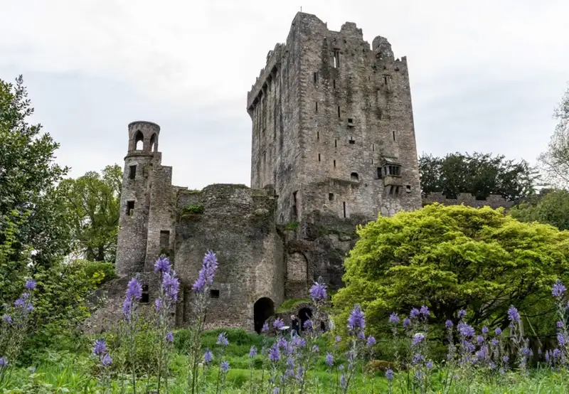 Image related to Blarney Castle