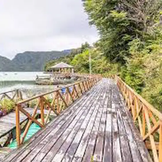 Image related to Wander the Cypress Walkways