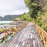 Image related to Wander the Cypress Walkways