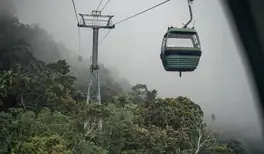 Image related to Skyrail Rainforest Cableway