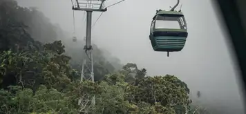 Image related to Skyrail Rainforest Cableway