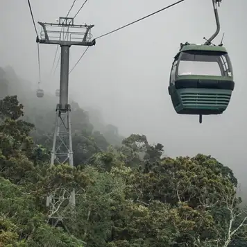 Image related to Skyrail Rainforest Cableway