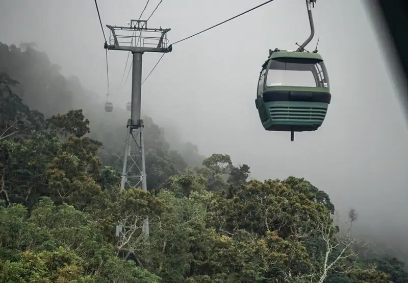Image related to Skyrail Rainforest Cableway