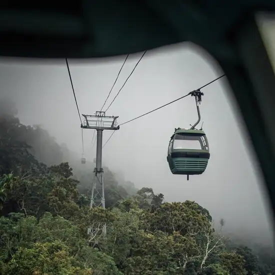 Image related to Image related to Skyrail Rainforest Cableway