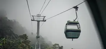 Image related to Image related to Skyrail Rainforest Cableway
