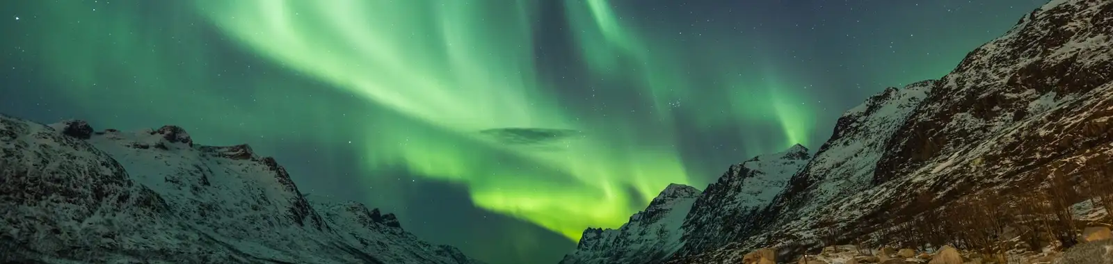Arctic Cruises