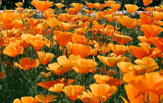 Image related to Image related to Ravalet Castle