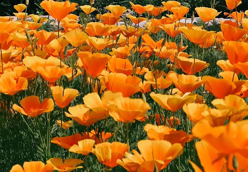 Image related to Ravalet Castle