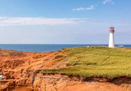 IgluCruise.Application.ViewModels.Shared.WebImageViewModel?.Description