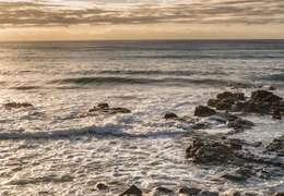 IgluCruise.Application.ViewModels.Shared.WebImageViewModel?.Description