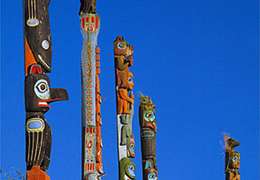 IgluCruise.Application.ViewModels.Shared.WebImageViewModel?.Description