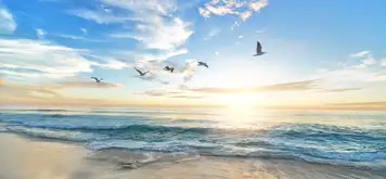 Image related to Smiltynės Beach