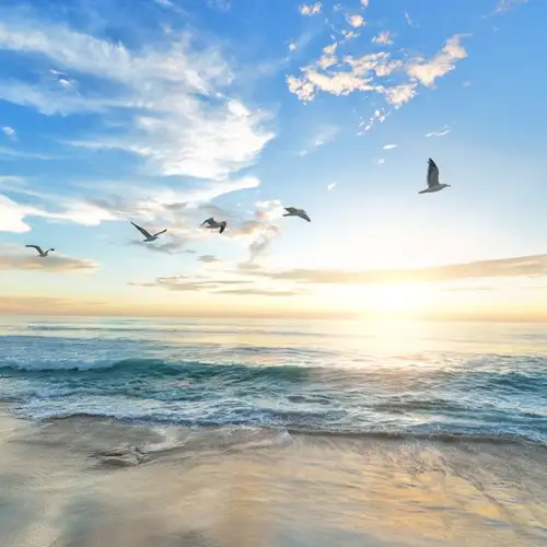 Image related to Smiltynės Beach