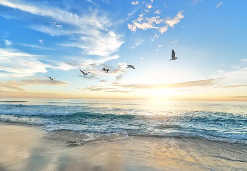 Image related to Smiltynės Beach