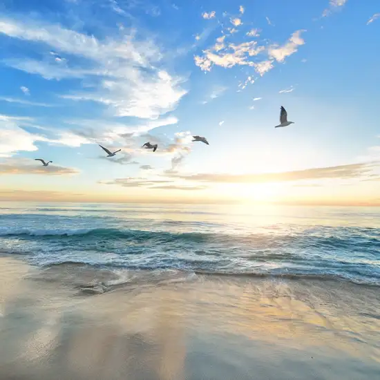 Image related to Smiltynės Beach