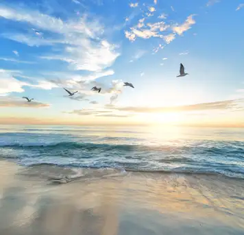Image related to Smiltynės Beach