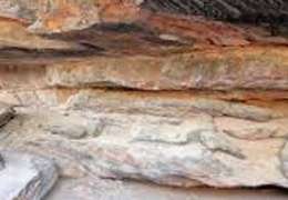 IgluCruise.Application.ViewModels.Shared.WebImageViewModel?.Description