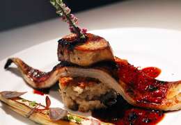 IgluCruise.Application.ViewModels.Shared.WebImageViewModel?.Description